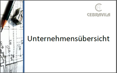 Memoria de Servicios Nuevo Ambles